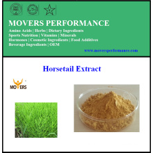 100% Natural Organic Pure Horsetail Extract